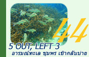 5 Out, Left 3: อารมณ์ทะเล ชุมพร