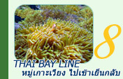 Thai Bay Line: หมู่เกาะเวียง