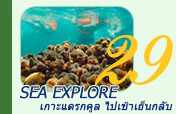 Sea Explore: เกาะแดรกคูล